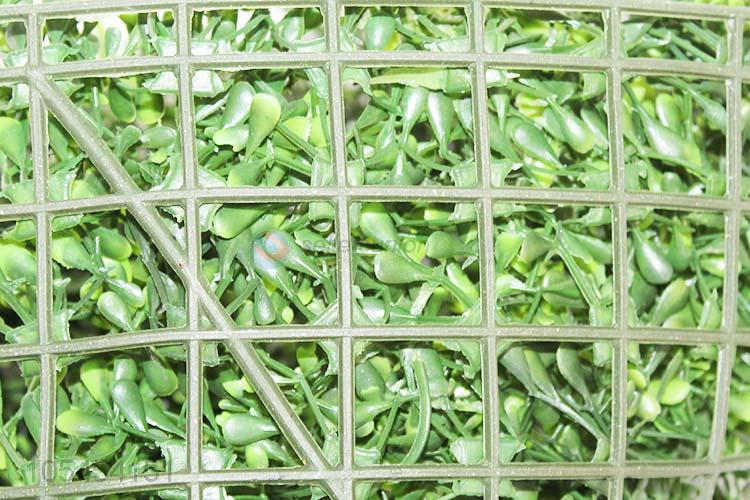 40*60CM花生草草坪