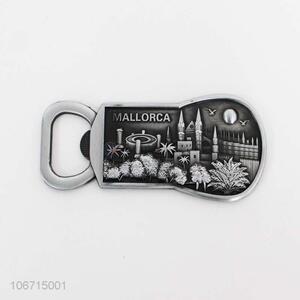 Competitive price alloy fridge magnet with bottle openener
