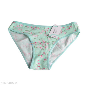 Custom Ladies Briefs Fashion Women Underwear