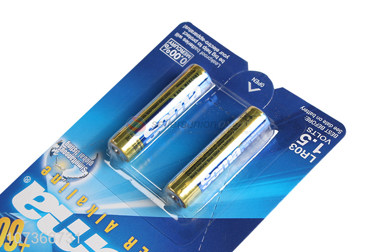 Good Quality 1.5V AAA Battery Best Dry Battery