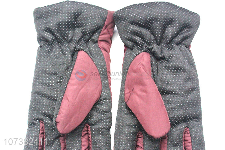 Wholesale Price Winter Women Gloves Outdoor Warm Full Finger Gloves