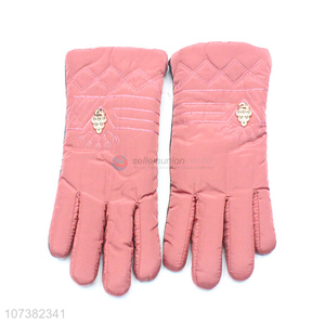 Personalized Popular Women Winter Glove Outdoor Warm Gloves