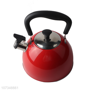 Hot product large 2.5L water kettle for household