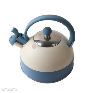 Home Appliance Stainless Steel Smart Electric Kettle