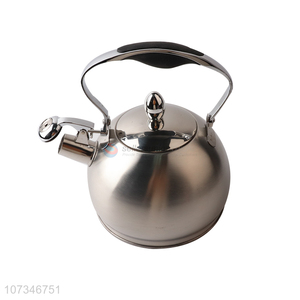 Large Capacity Stainless Steel Electric Water Kettle