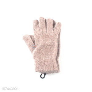 Wholesale Comfortable Warm Gloves Fashion Ladies Gloves