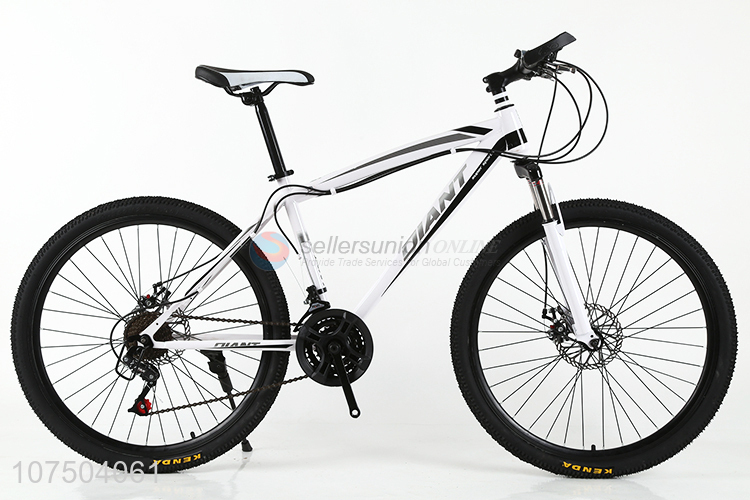 Wholesale Adult Racing Cycle Carbon Steel Frame Bicycle