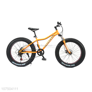 Factory Direct Sell Cool Style Mountain Bike Fat Tyre Snow Bike
