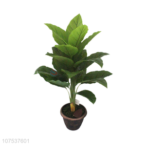 New Design Artificial Plant Green Cordyline Fruticosa Tree