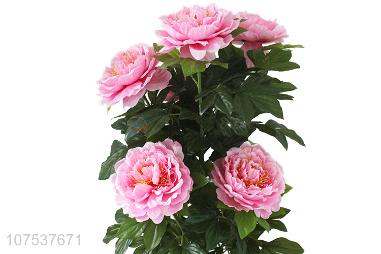 Wholesale Artificial Peony 6 Flowers Plastic Simulation Plant