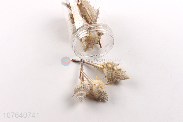 High quality seascape accessories long spiny snail natural shell