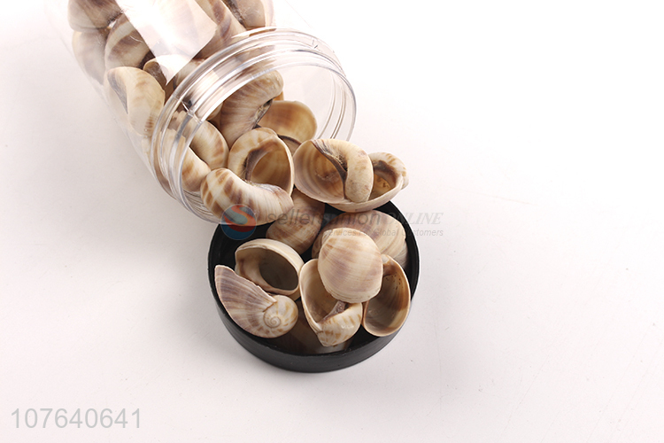 High-value aquarium landscaping meat snail decoration