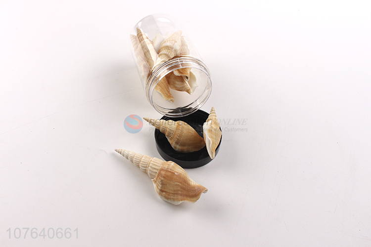 Wholesale diy seascape decoration axe snail crafts