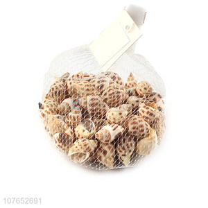 Best Sale Natural Seashells For <em>Fish</em> <em>Tank</em> And Home Decorations