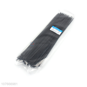 China factory supply protection self-locking nylon cable ties