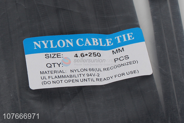 Reusable waterproof plastic secure tamper proof nylon cable ties 