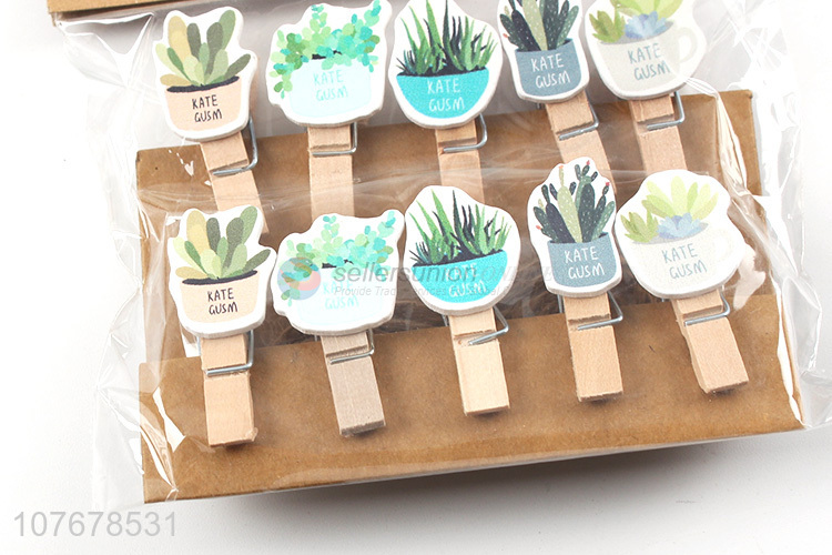 Wholesale store home decoration clip fresh potted wood clip