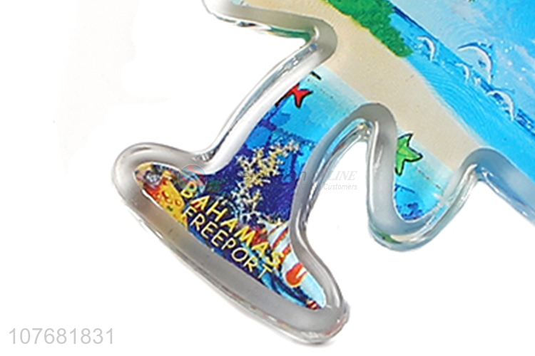 Latest design coconut palm key chain acrylic keychain key ring