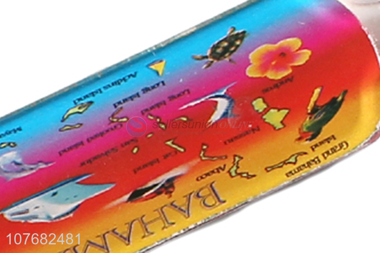Good sale Bahamas souvenir key chain plastic keyring