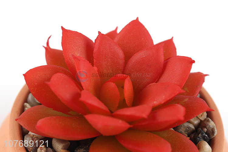 Creative Design Ceramic Flower Pot Succulent Plant Pot Combination
