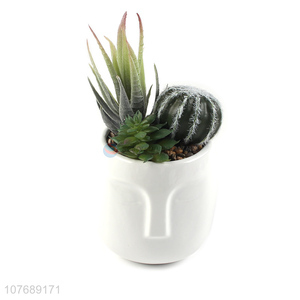 Excellent design face art flower pot desktop decoration cactus potted plant