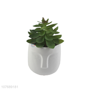 Creative face art flower pot simulation cactus potted plant