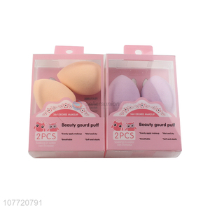 Hot Selling 2 Pieces Cosmetic Powder Puff Beauty Blender Makeup Sponge Set
