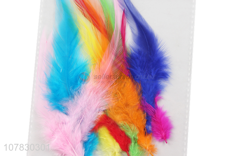 Wholesale Beautiful Colorful Chicken Feather For Kids DIY Crafts