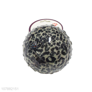 Hot Products Pet Toy Ball Interactive Dog Toys