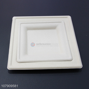 Simple design white <em>disposable</em> dinner <em>plate</em> universal eating <em>plate</em>