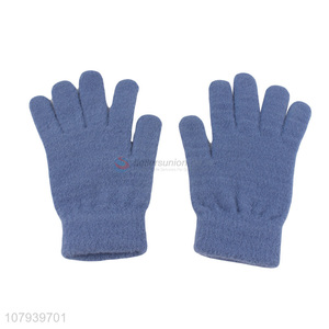 Hot Selling Ladies Winter Leisure Warm Gloves Comfortable Gloves
