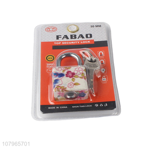 New style printing creative padlock household universal padlock