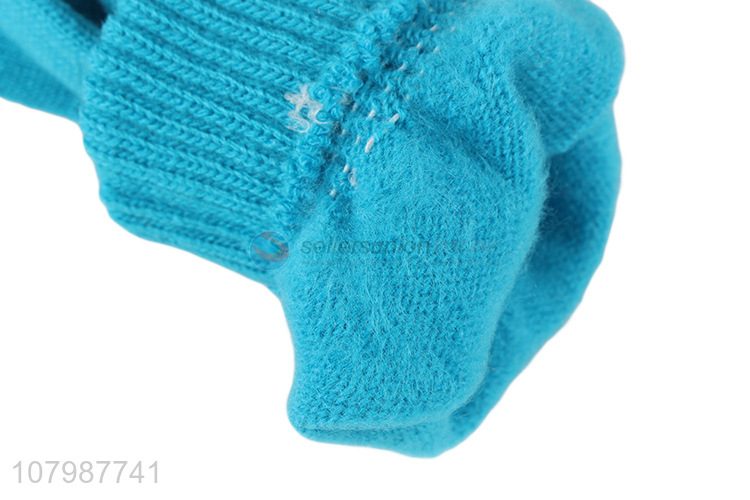 Hot sale blue five-finger gloves winter windproof gloves for ladies