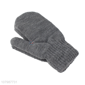 Factory direct sale gray double layer plush gloves winter windproof gloves