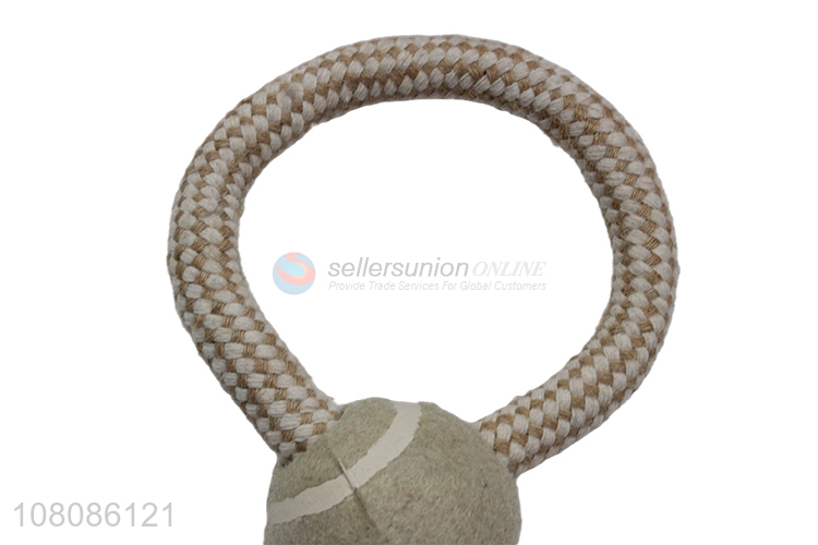 Popular products pets interactive chew training toys for sale