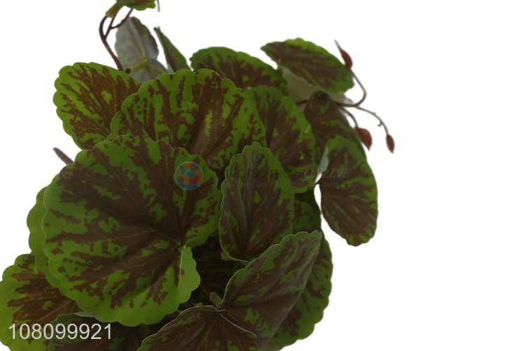 China wholesale home décor natural artificial plant