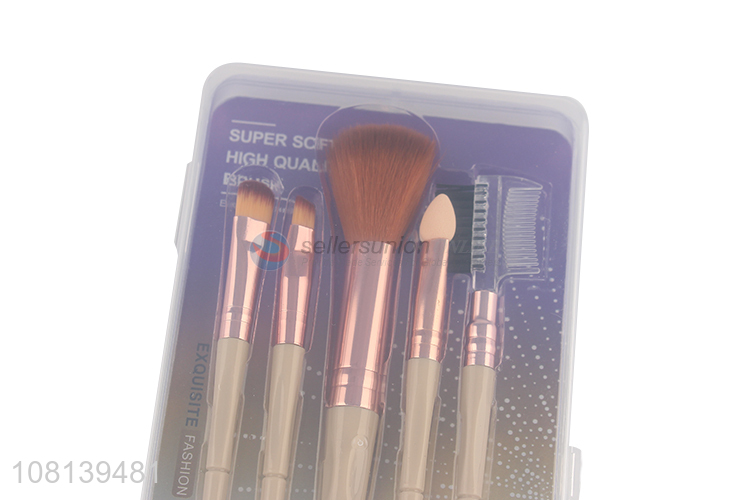 China supply simple eyeshadow brush plastic makeup brush set