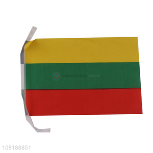 China supplier mini Lithuania flag sport events handheld country flag