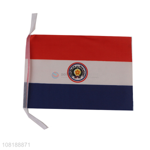 New arrival mini stick flag Paraguay national flag for sports events