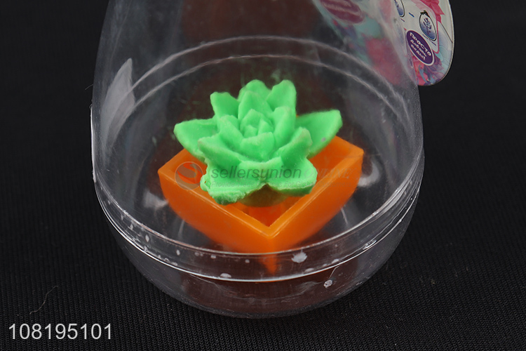 New arrival water growing bonsai grow succulent plant toy for kids