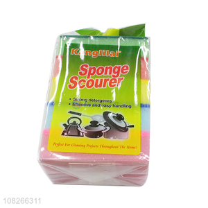 Good Sale 5 Pieces Spong Scourer Cleaning Sponge Set