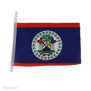 Wholesale polyester national flag custom flag for competition parade