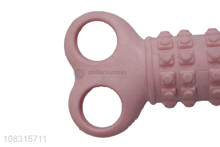 Good Sale Bite Resistant Pet Chew Toys Dog Training Toy
