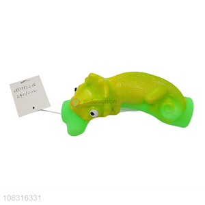 Unique Design Squeaky Pet Dog Chew Toy Interactive Toy