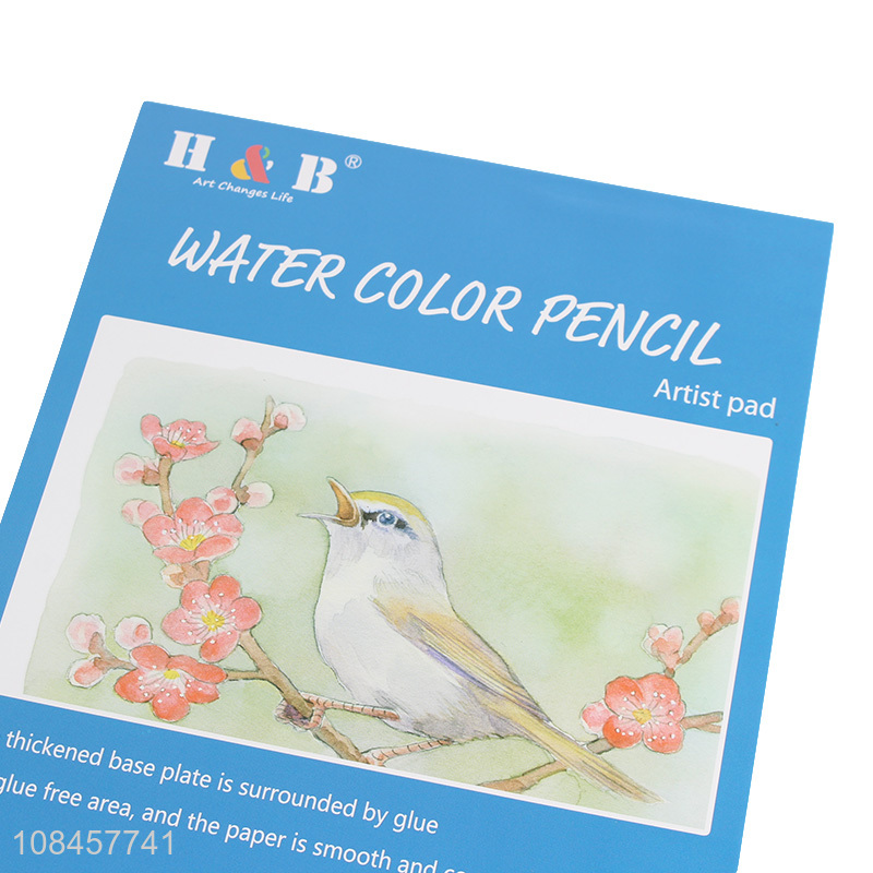 Good selling 31 piece watercolor paint drawing set