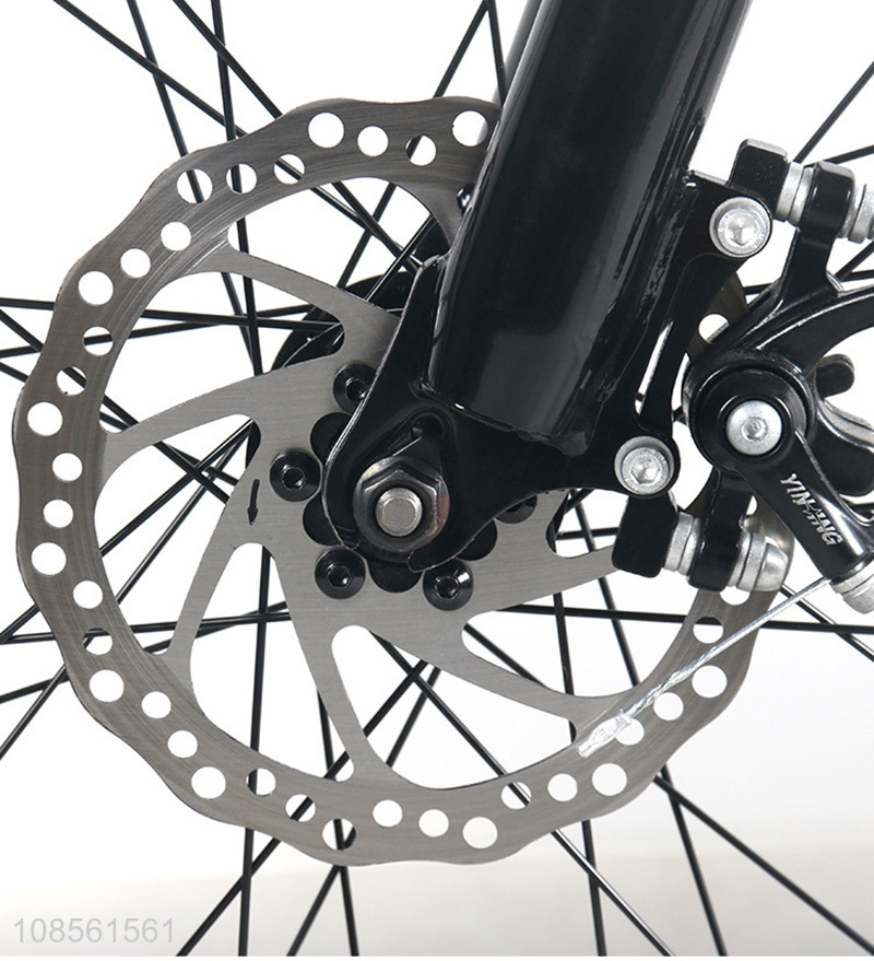 Top selling high speed mountain electric bicycle