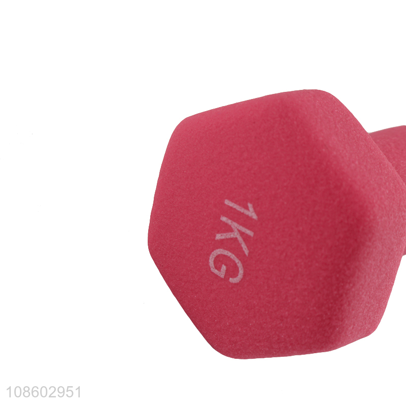 Wholesale colorful 1kg dumbbell coated plastic cast iron dumbbell for women