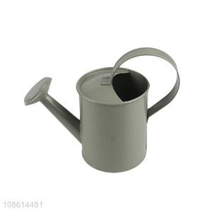 Online wholesale small metal watering can for indoor outdoor plants