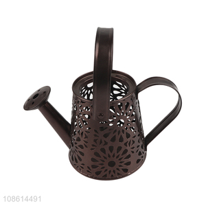 Wholesale stylish hollowed-out metal watering can for garden decor