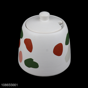 High quality porcelain ceramic seasoning jar condiment pot with spoon